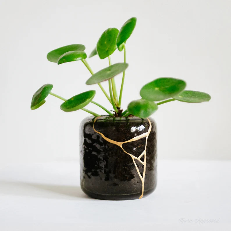 KINTS Kintsugi Kit